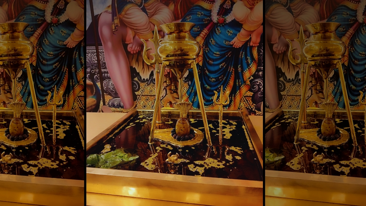 A Sacred Offering: Indore Hosts Rare Maha Rudrabhishek with Mustard Oil at Bijalpur Dham