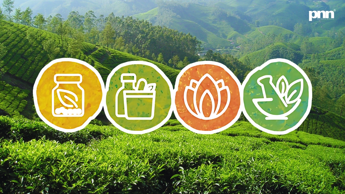 India’s Healing Comeback: How AYUSH Is Quietly Winning the Healthcare Game with Ancient Wisdom