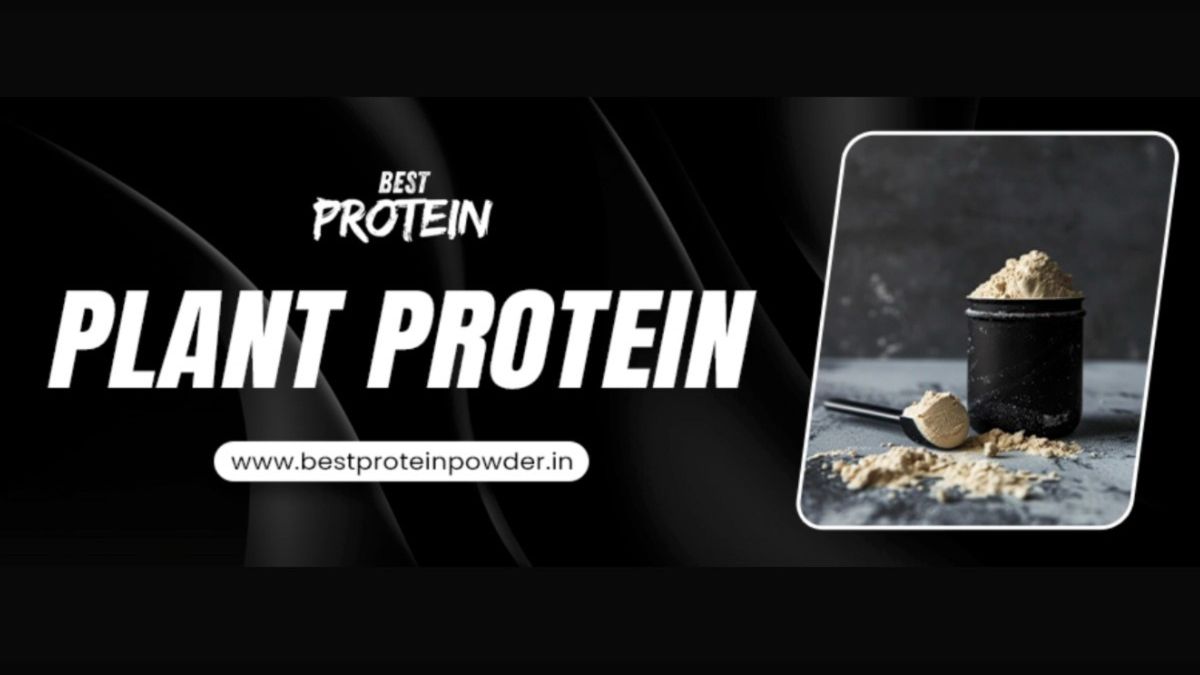 How Plant Protein Supports Weight Loss and Muscle Gain?