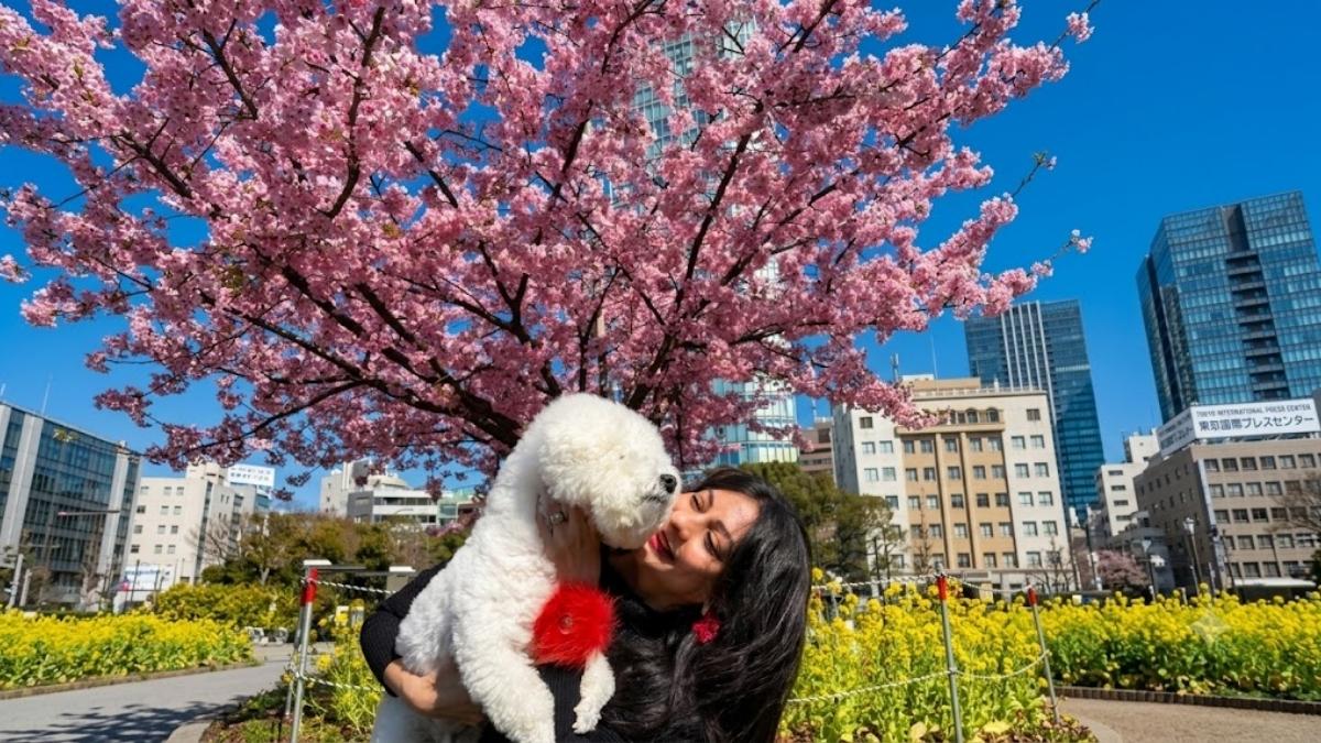 Healing Within: How One Woman Turned Her Deepest Struggle into Her Greatest Purpose