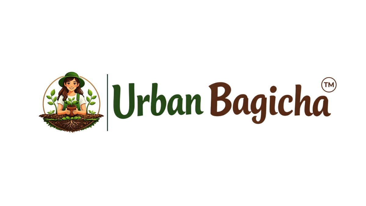 Urban Bagicha Brand is Redefining Urban Green Living with Sustainable Innovation and Community Impact